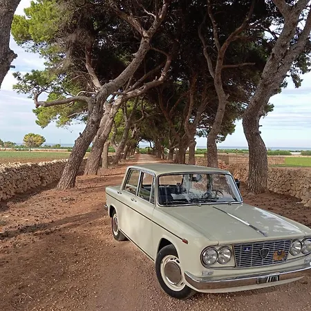 Trulli Di Titti - Luxury * Castellana Grotte